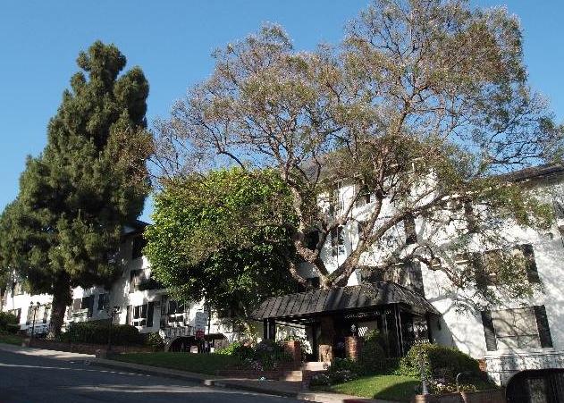 Olive Manor