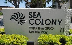 Sea Colony II